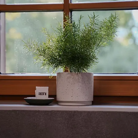 Apartment Sked'n Bled