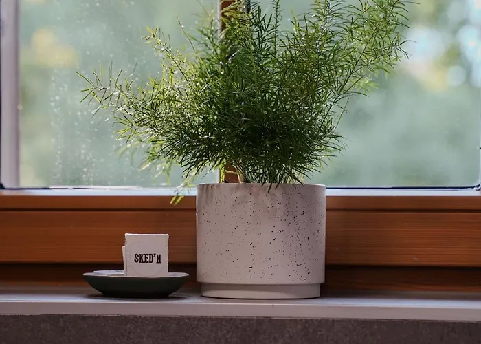 דירה Sked'n בלד